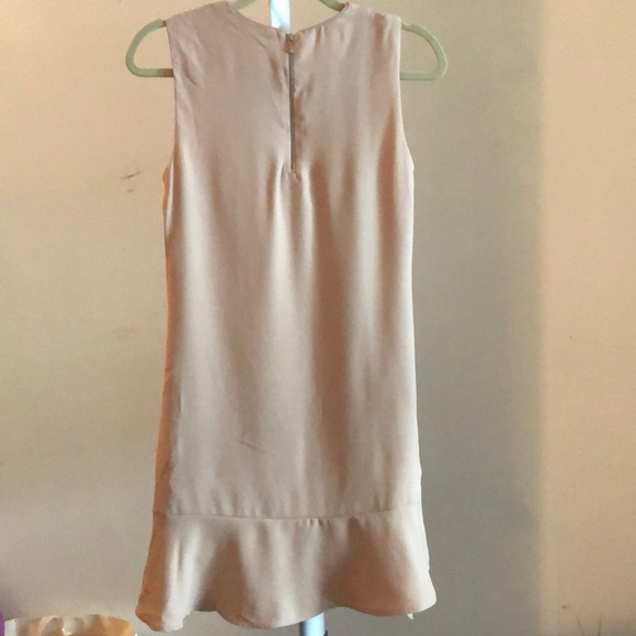 BNWT Zara dress with frill - Picture 2 of 3